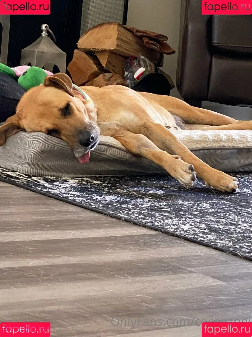 cocovandi / cocovandijk Onlyfans Photo Gallery 