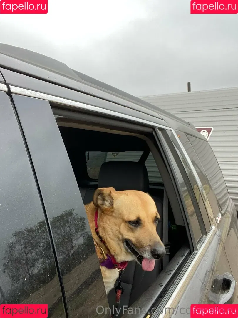 cocovandi / cocovandijk Onlyfans Photo Gallery 