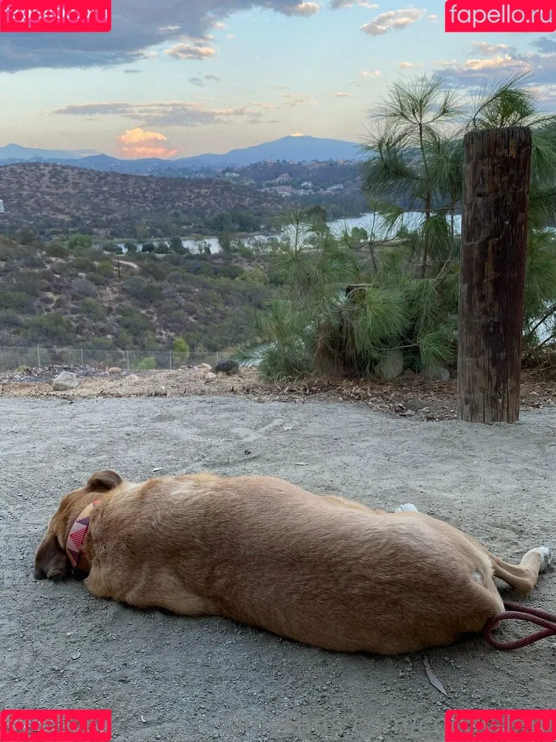 cocovandi / cocovandijk Onlyfans Photo Gallery 