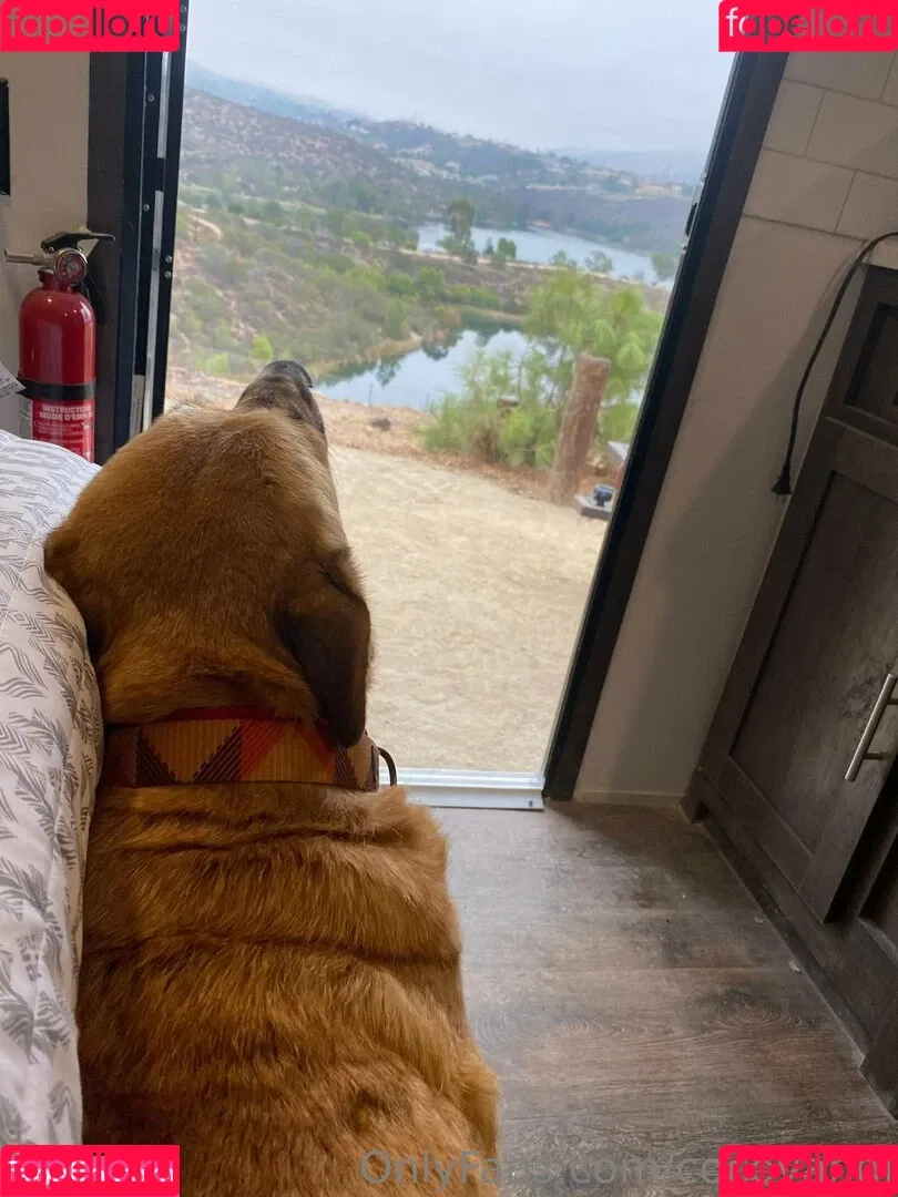 cocovandi / cocovandijk Onlyfans Photo Gallery 