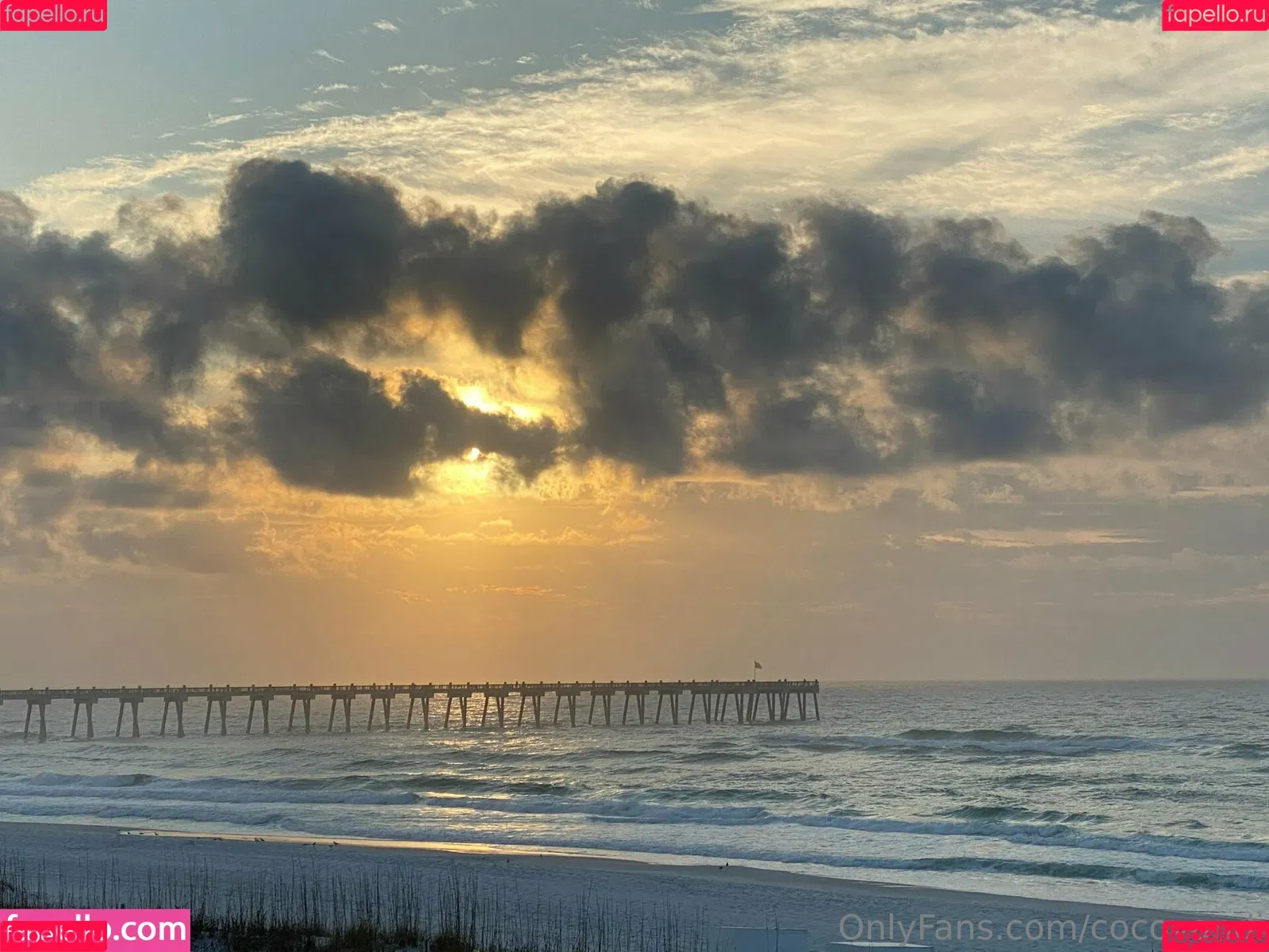 cocovandi / cocovandijk Onlyfans Photo Gallery 