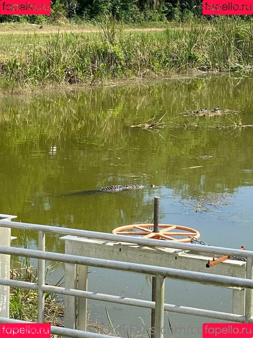 cocovandi / cocovandijk Onlyfans Photo Gallery 