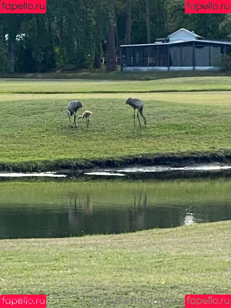 cocovandi / cocovandijk Onlyfans Photo Gallery 