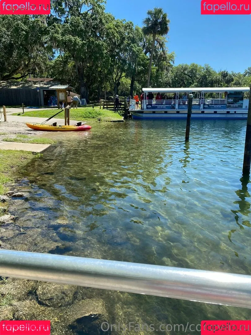 cocovandi / cocovandijk Onlyfans Photo Gallery 