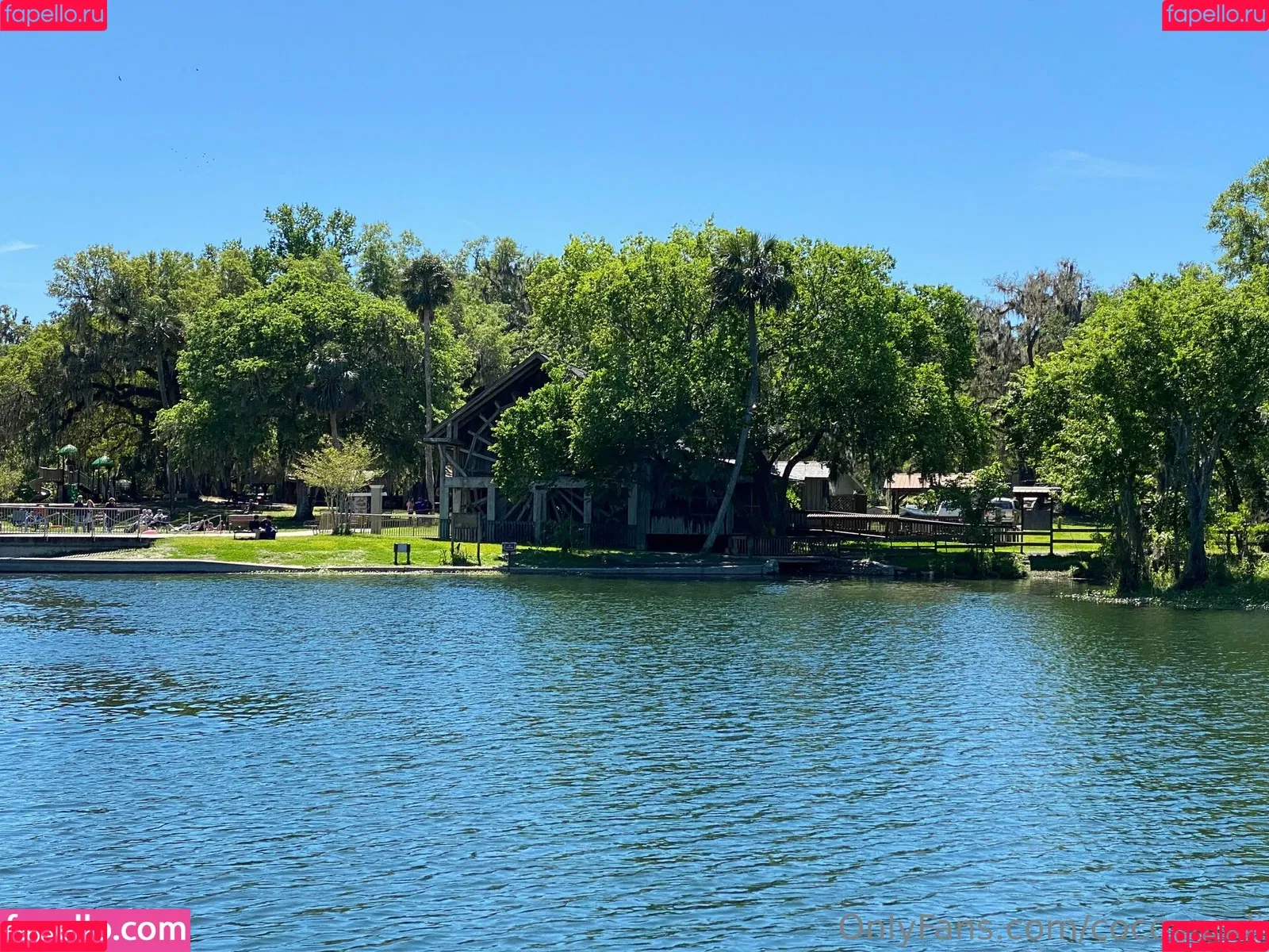 cocovandi / cocovandijk Onlyfans Photo Gallery 