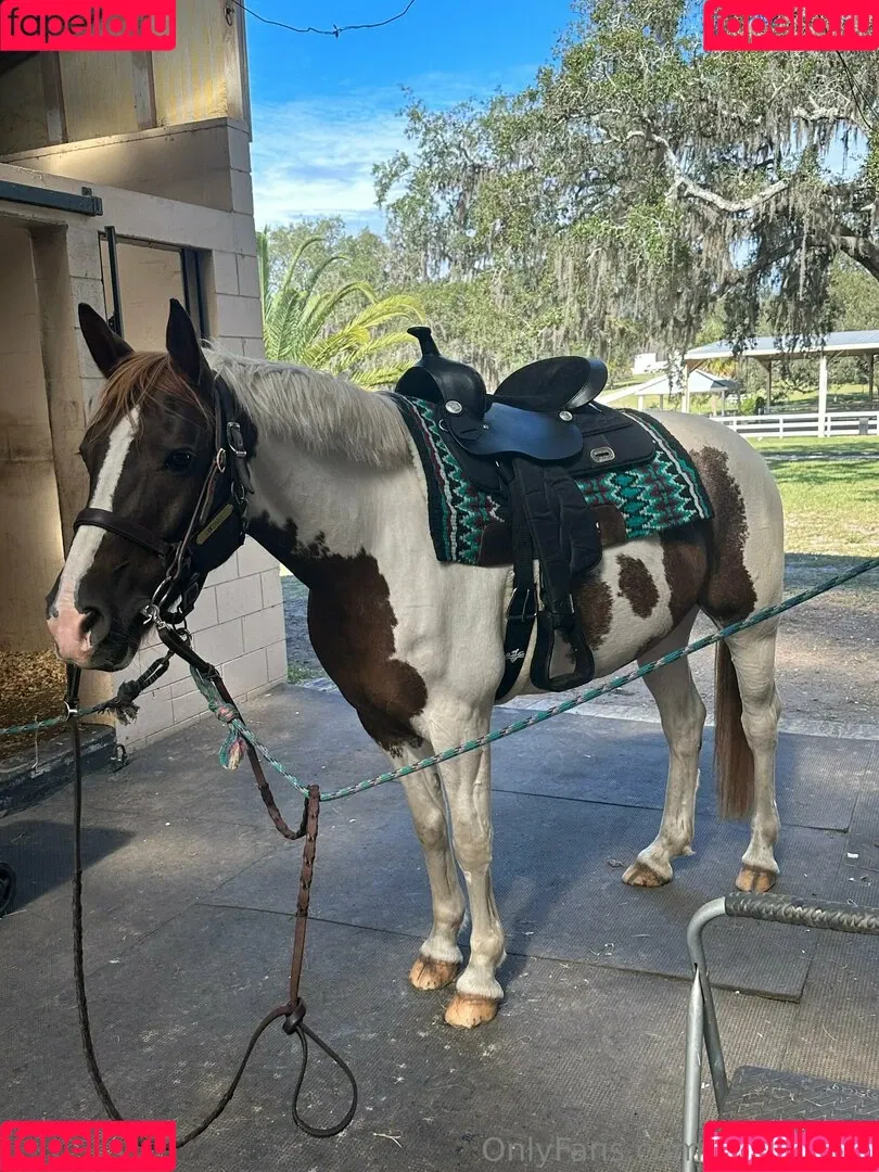 cocovandi / cocovandijk Onlyfans Photo Gallery 