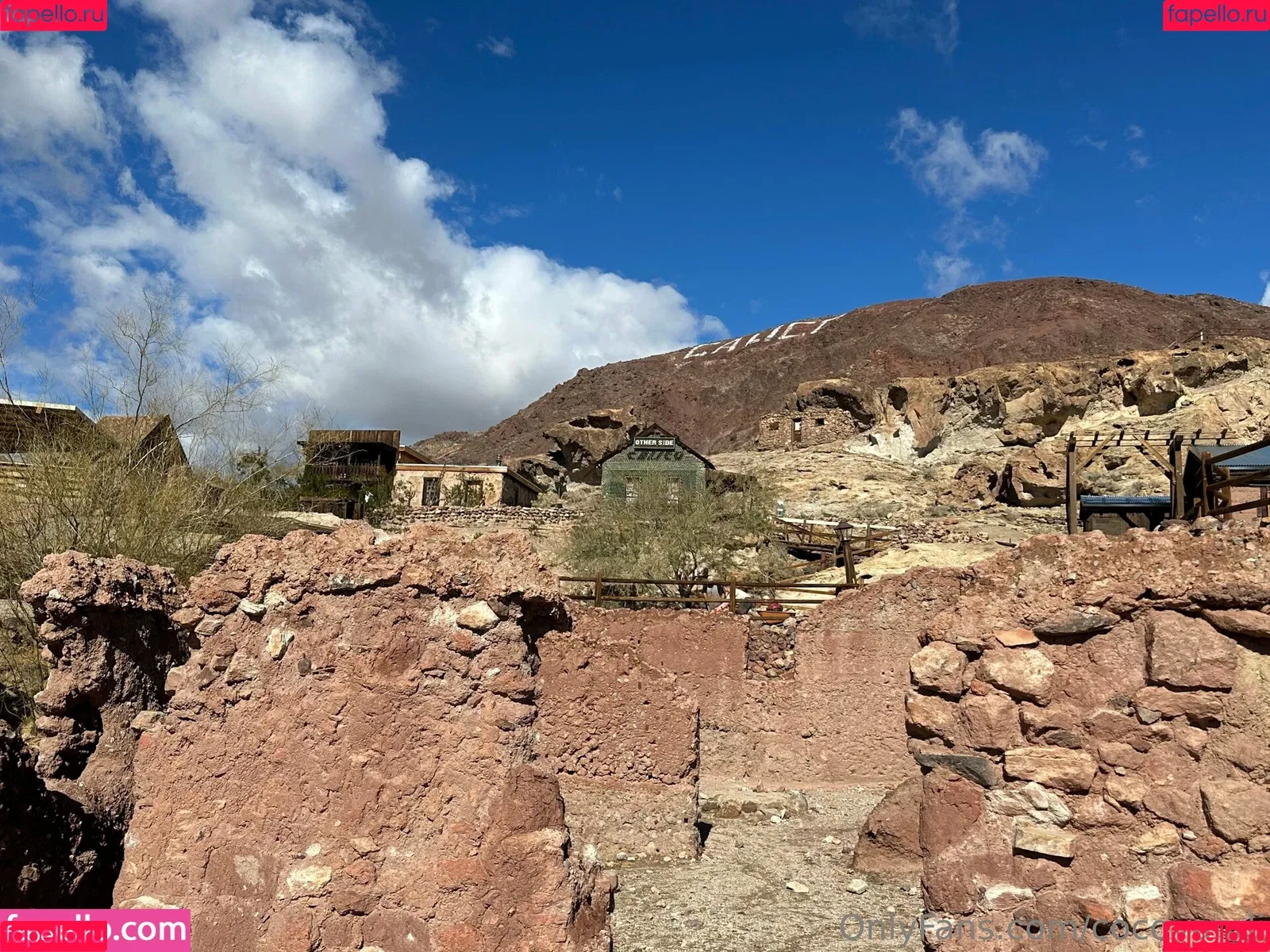 cocovandi / cocovandijk Onlyfans Photo Gallery 