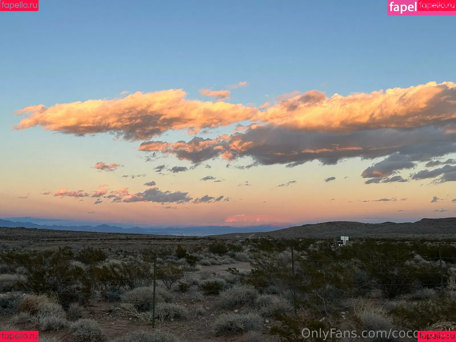 cocovandi / cocovandijk Onlyfans Photo Gallery 