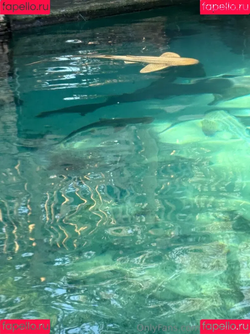 cocovandi / cocovandijk Onlyfans Photo Gallery 