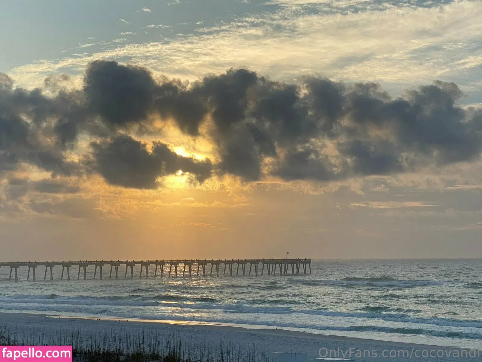 cocovandi / cocovandijk Onlyfans Photo Gallery 