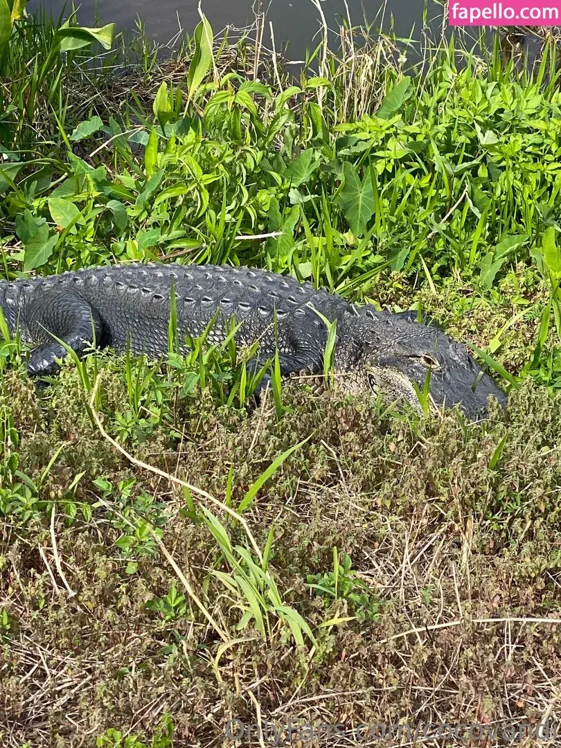 cocovandi / cocovandijk Onlyfans Photo Gallery 