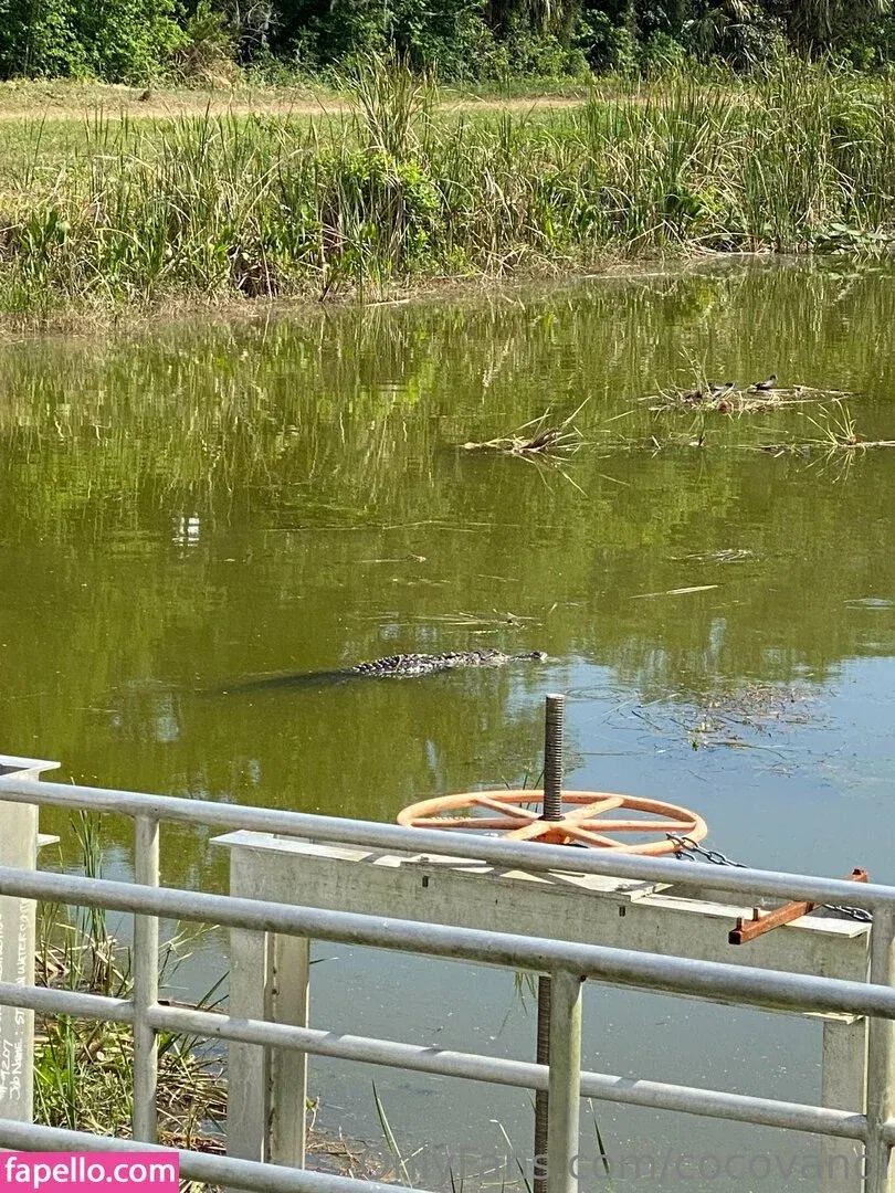 cocovandi / cocovandijk Onlyfans Photo Gallery 