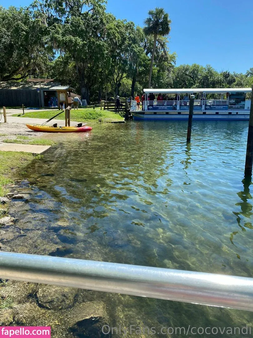 cocovandi / cocovandijk Onlyfans Photo Gallery 