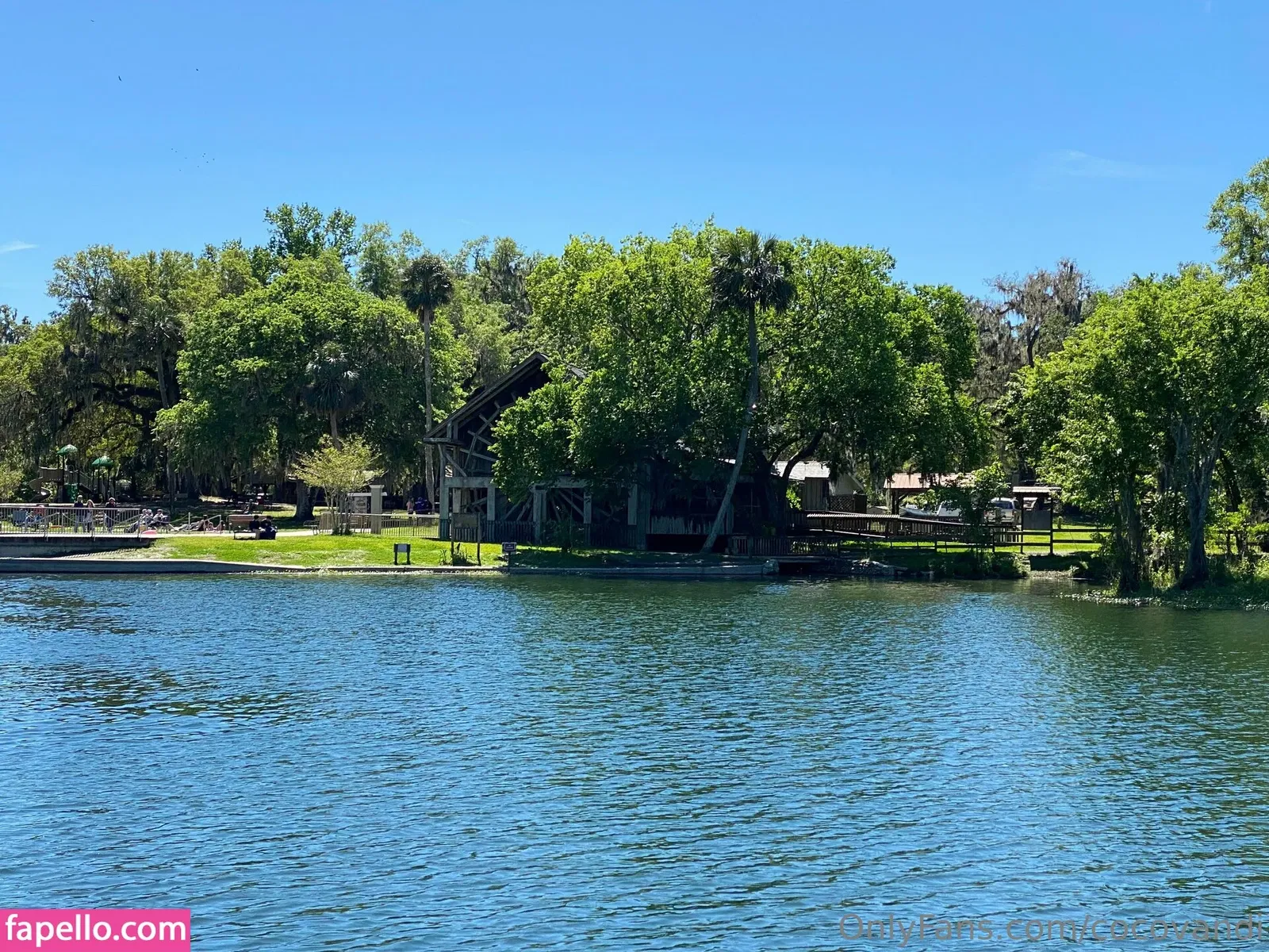 cocovandi / cocovandijk Onlyfans Photo Gallery 