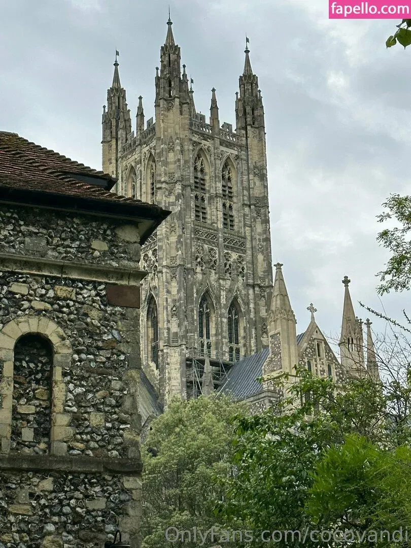 cocovandi / cocovandijk Onlyfans Photo Gallery 