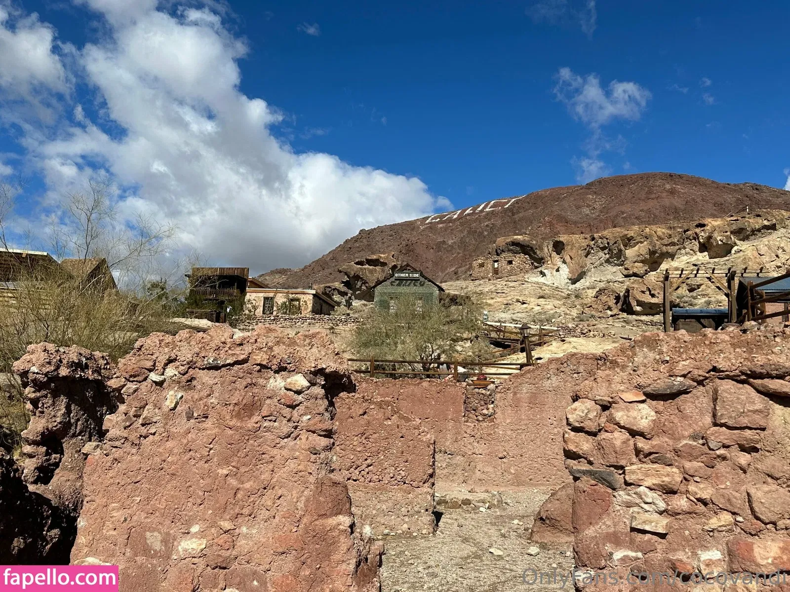 cocovandi / cocovandijk Onlyfans Photo Gallery 