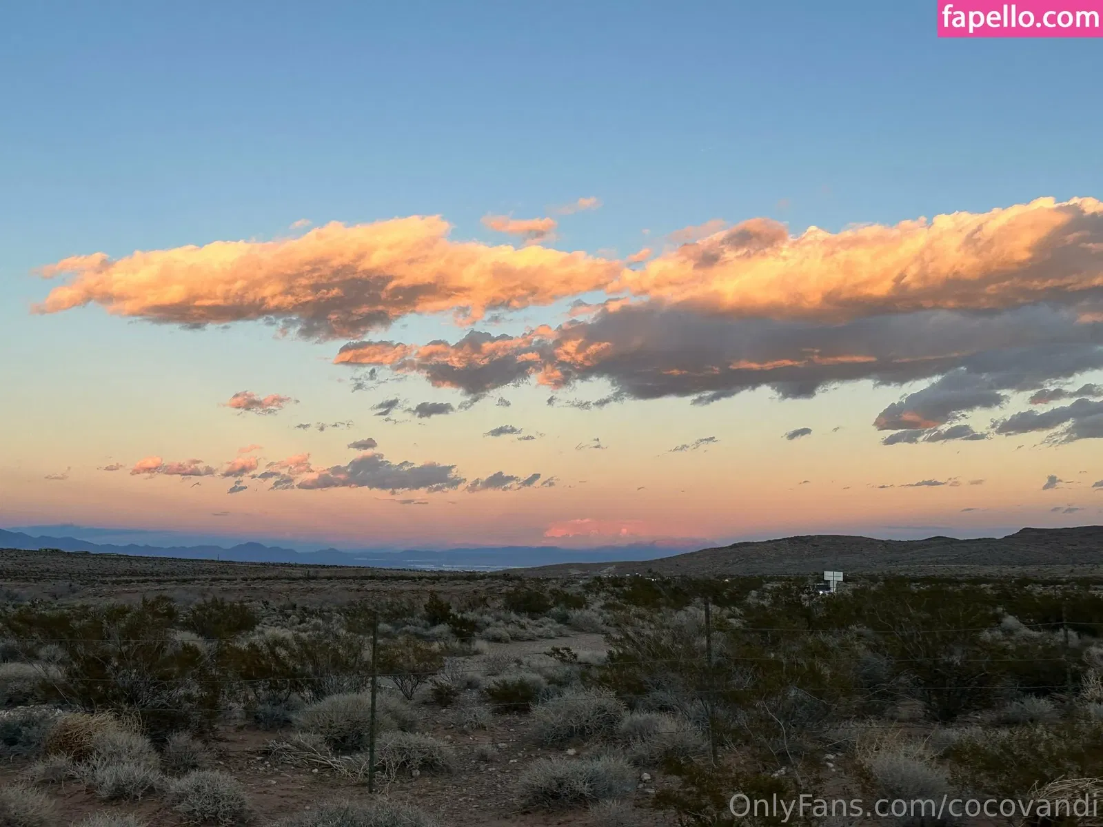 cocovandi / cocovandijk Onlyfans Photo Gallery 