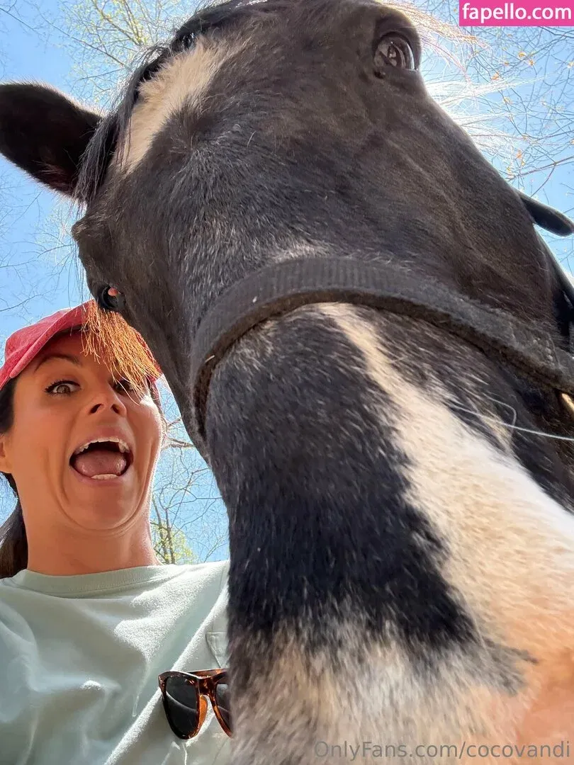 cocovandi / cocovandijk Onlyfans Photo Gallery 