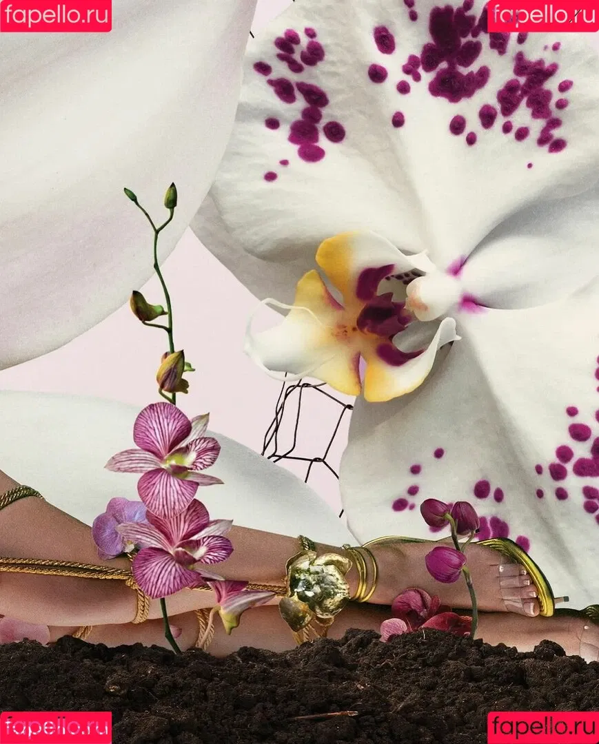 Kali Uchis / kaliuchis / spicxyy Onlyfans Photo Gallery 