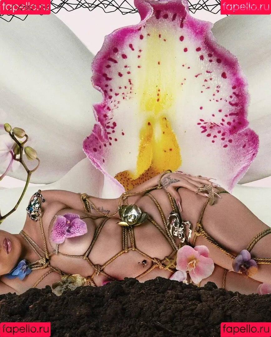 Kali Uchis / kaliuchis / spicxyy Onlyfans Photo Gallery 