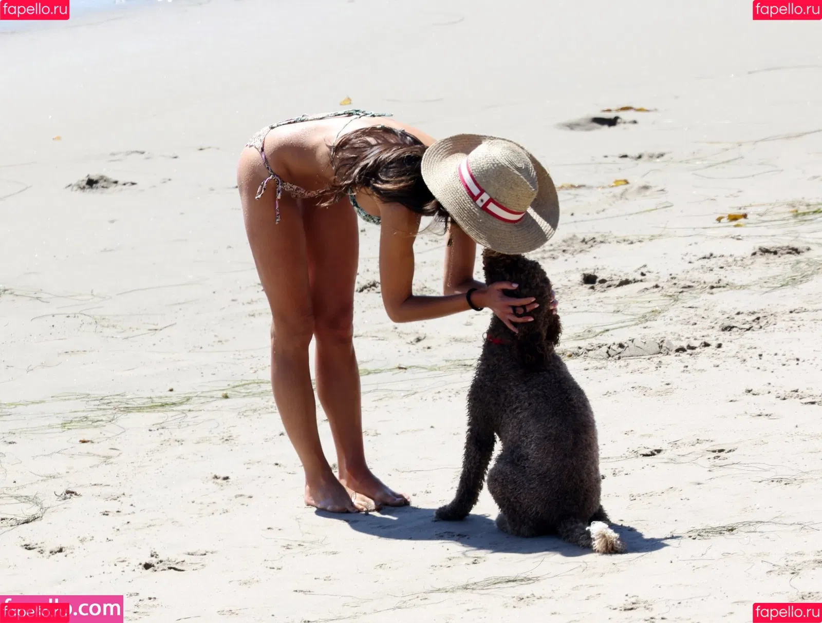 Jordana Brewster / JordanaBrewster Onlyfans Photo Gallery 