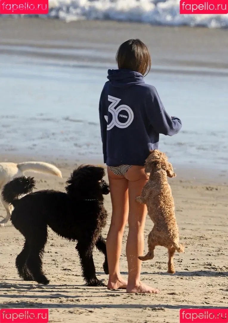 Jordana Brewster / JordanaBrewster Onlyfans Photo Gallery 