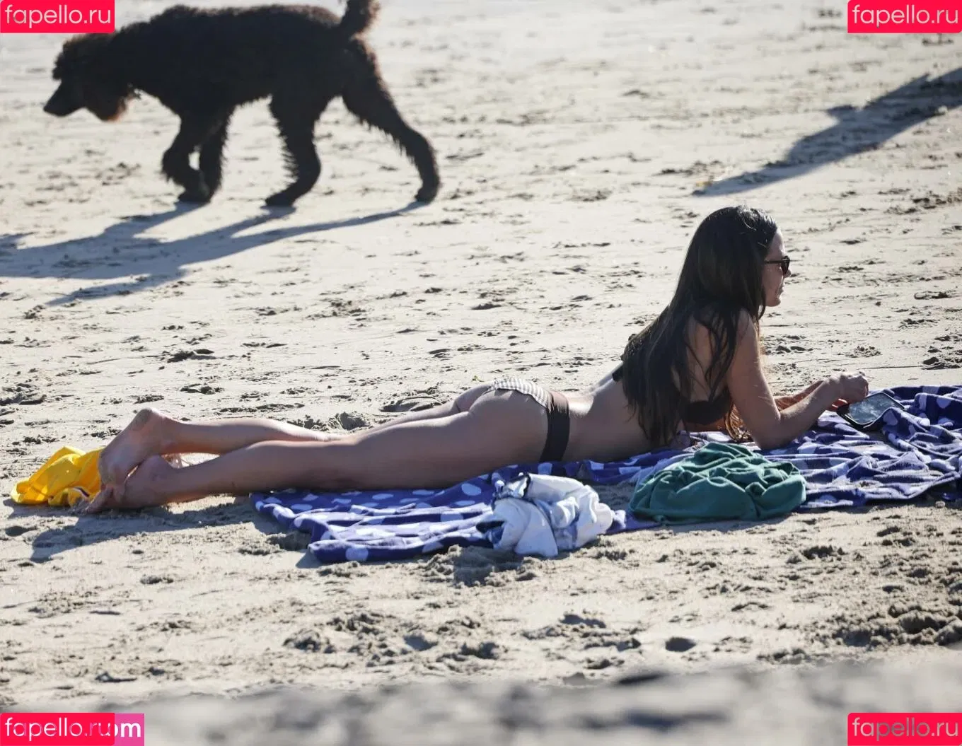 Jordana Brewster / JordanaBrewster Onlyfans Photo Gallery 