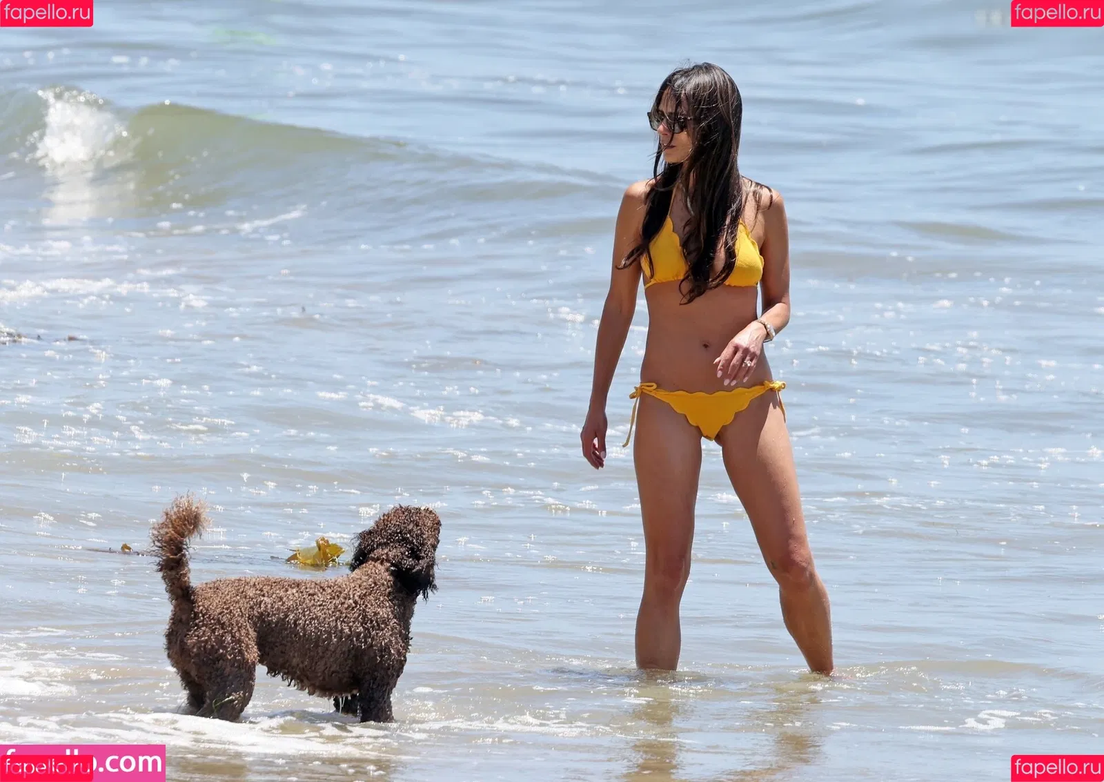 Jordana Brewster / JordanaBrewster Onlyfans Photo Gallery 