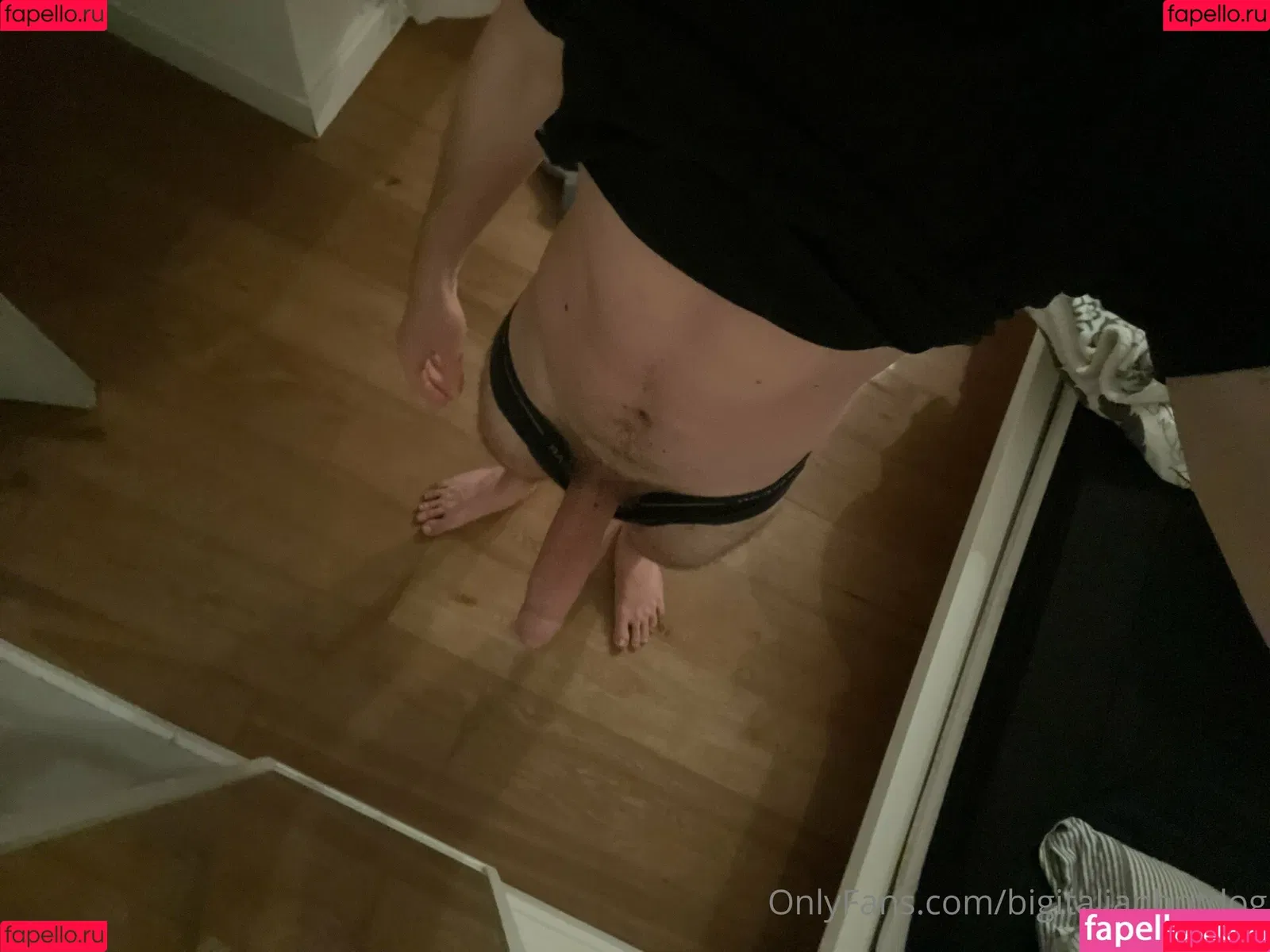 bigitalianhotdog / spike_the_crazy_dog Onlyfans Photo Gallery 