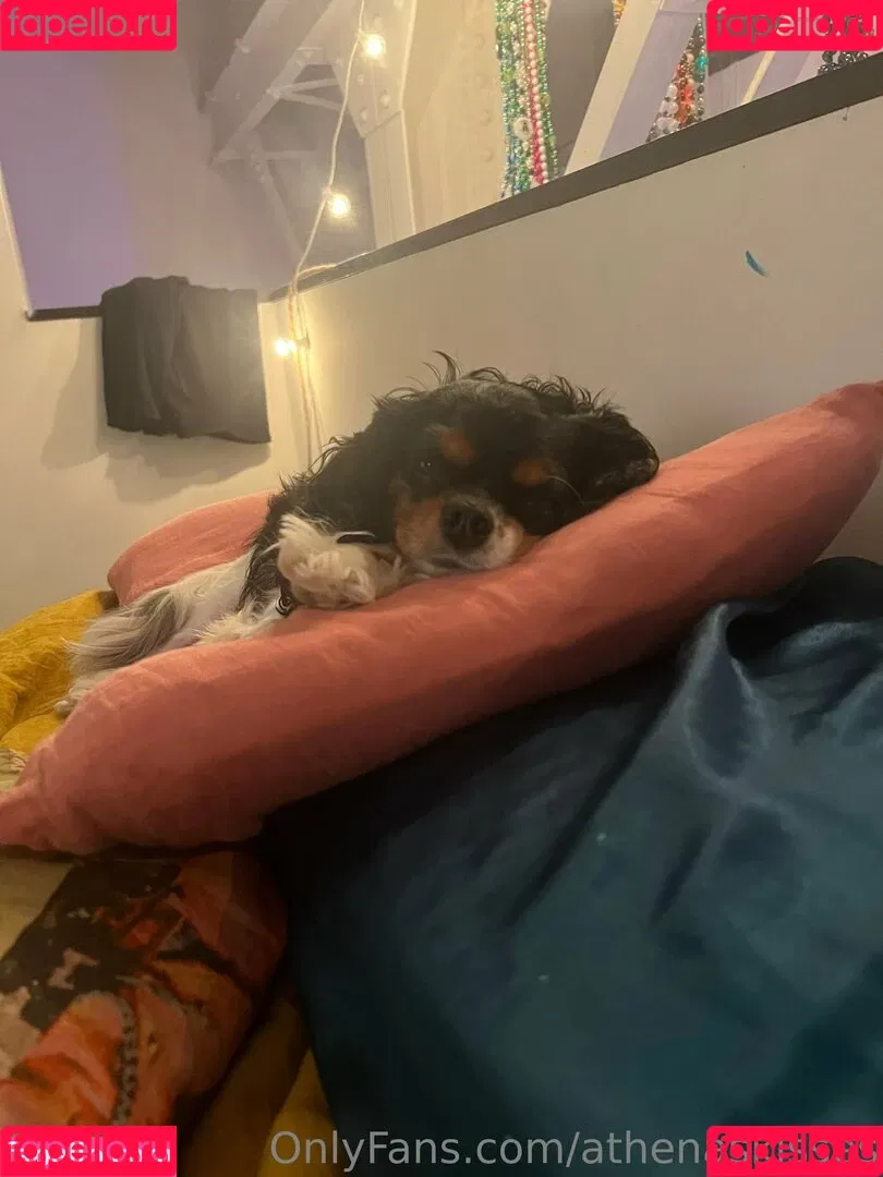 athenasees / athenaskisses / athenaskisses1 Onlyfans Photo Gallery 