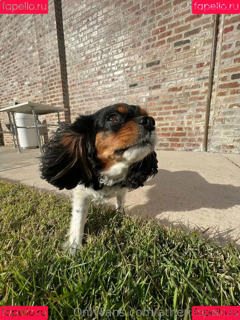 athenasees / athenaskisses / athenaskisses1 Onlyfans Photo Gallery 