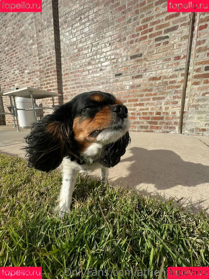 athenasees / athenaskisses / athenaskisses1 Onlyfans Photo Gallery 