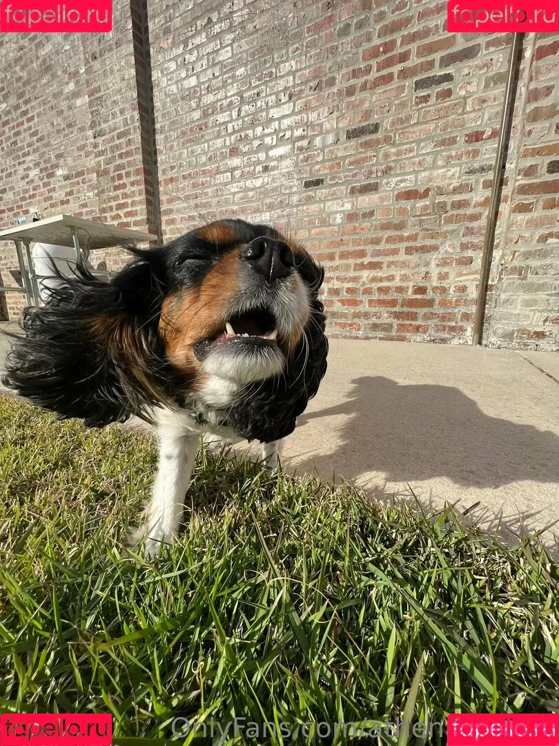 athenasees / athenaskisses / athenaskisses1 Onlyfans Photo Gallery 