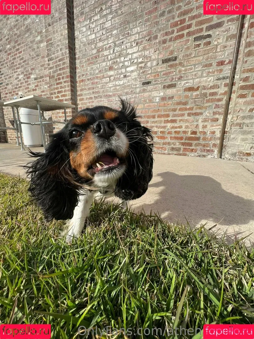 athenasees / athenaskisses / athenaskisses1 Onlyfans Photo Gallery 