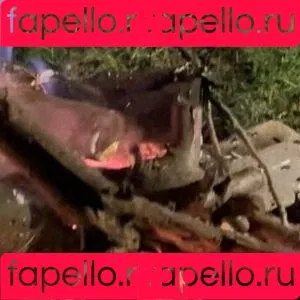 barbora99 / barbora_99 Onlyfans Photo Gallery 