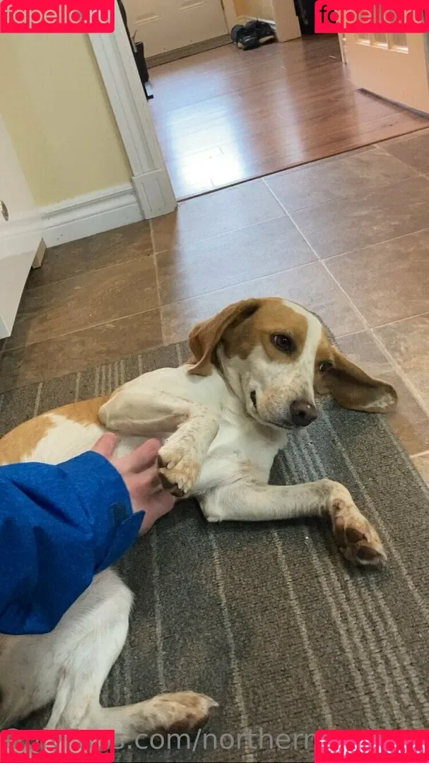 187ink_savage / northerngaymertwinks Onlyfans Photo Gallery 