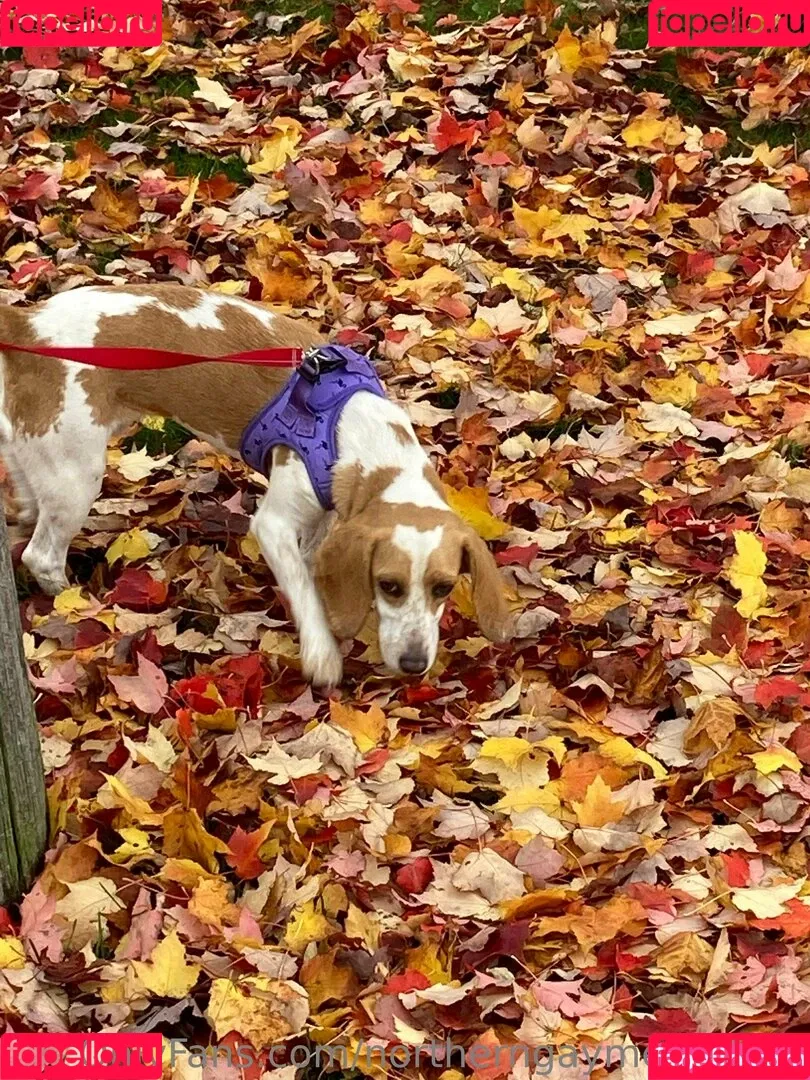 187ink_savage / northerngaymertwinks Onlyfans Photo Gallery 