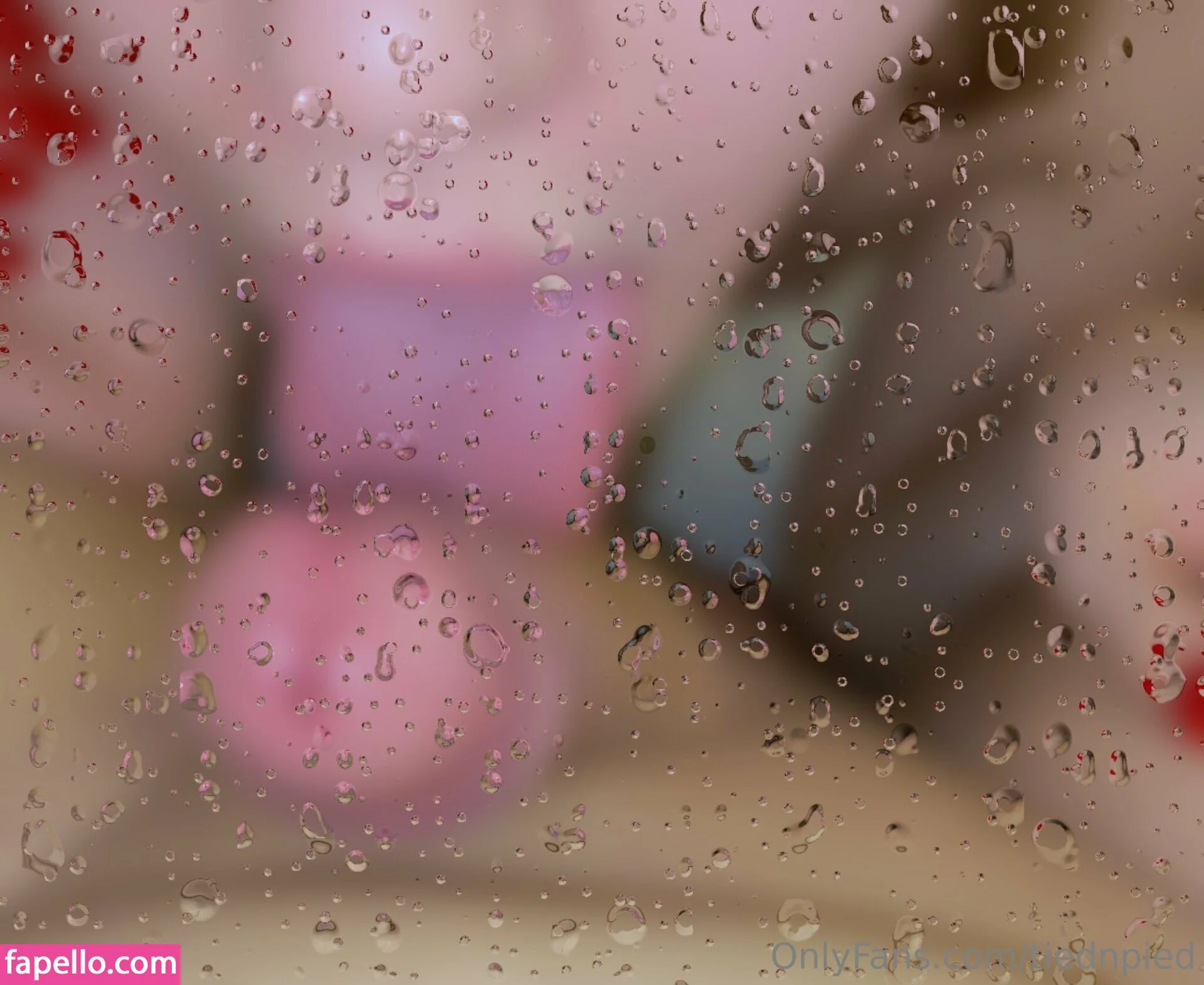 tiednpied Onlyfans Photo Gallery 