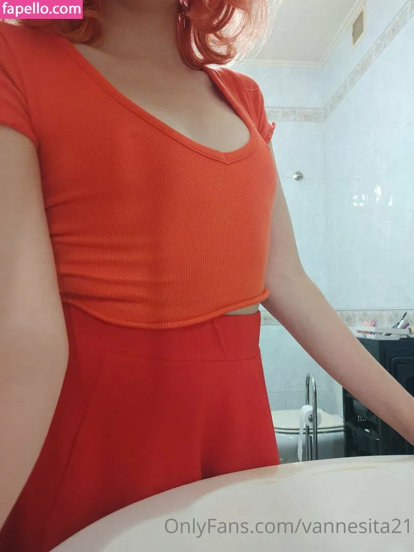 vanessahudgens / vannesita21 Onlyfans Photo Gallery 