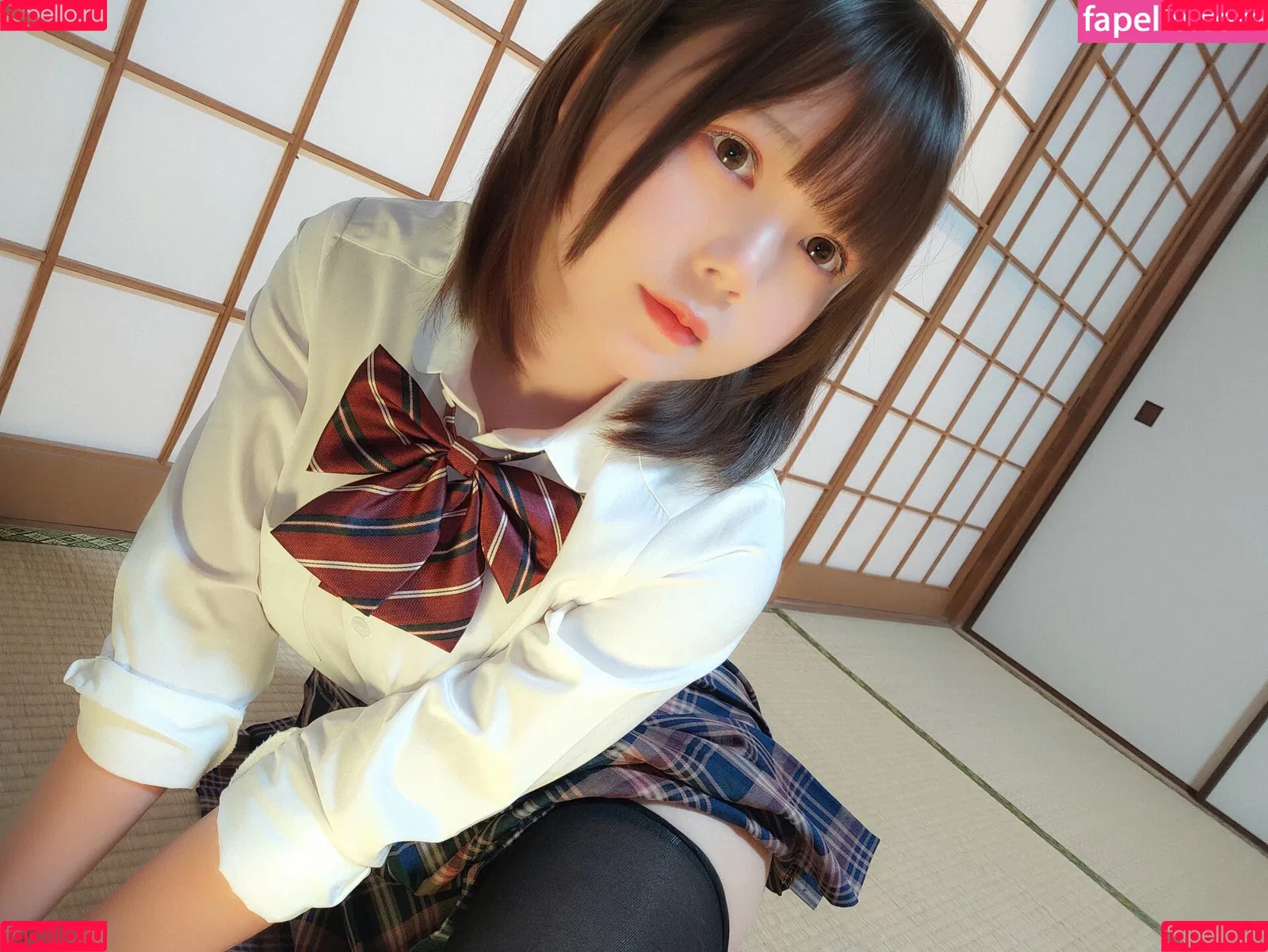 Nikumikyo / nikufans__ / きょう肉肉 Onlyfans Photo Gallery 