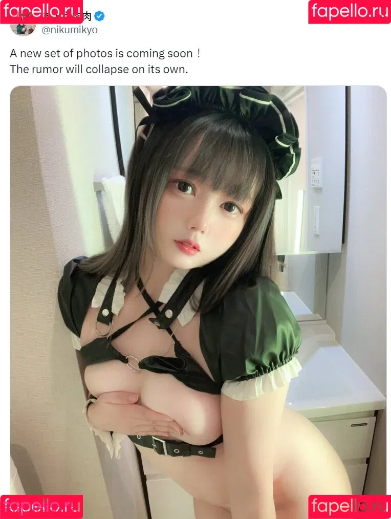 Nikumikyo / nikufans__ / きょう肉肉 Onlyfans Photo Gallery 