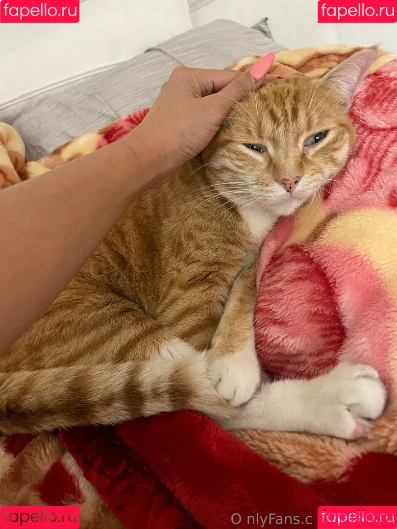 maihero / maihero76 Onlyfans Photo Gallery 