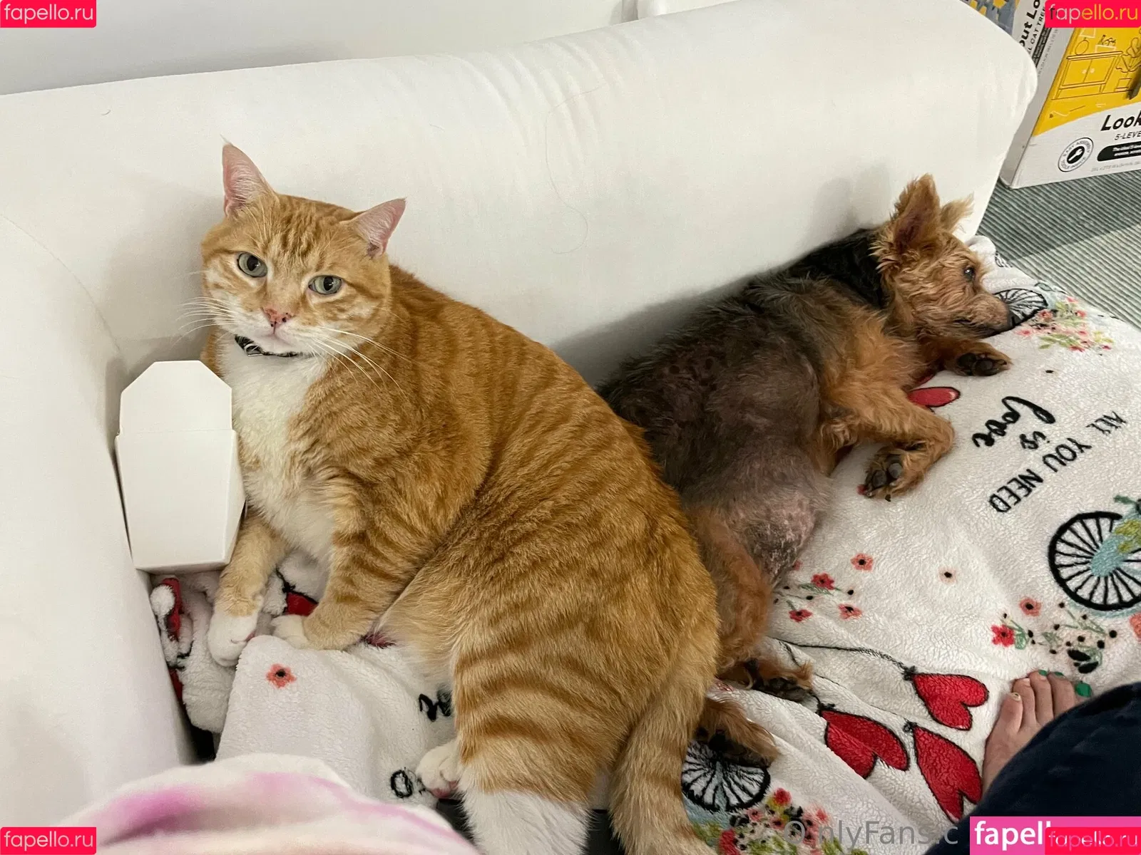 maihero / maihero76 Onlyfans Photo Gallery 