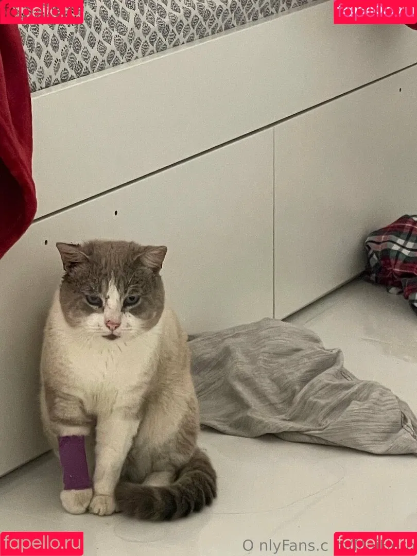 maihero / maihero76 Onlyfans Photo Gallery 