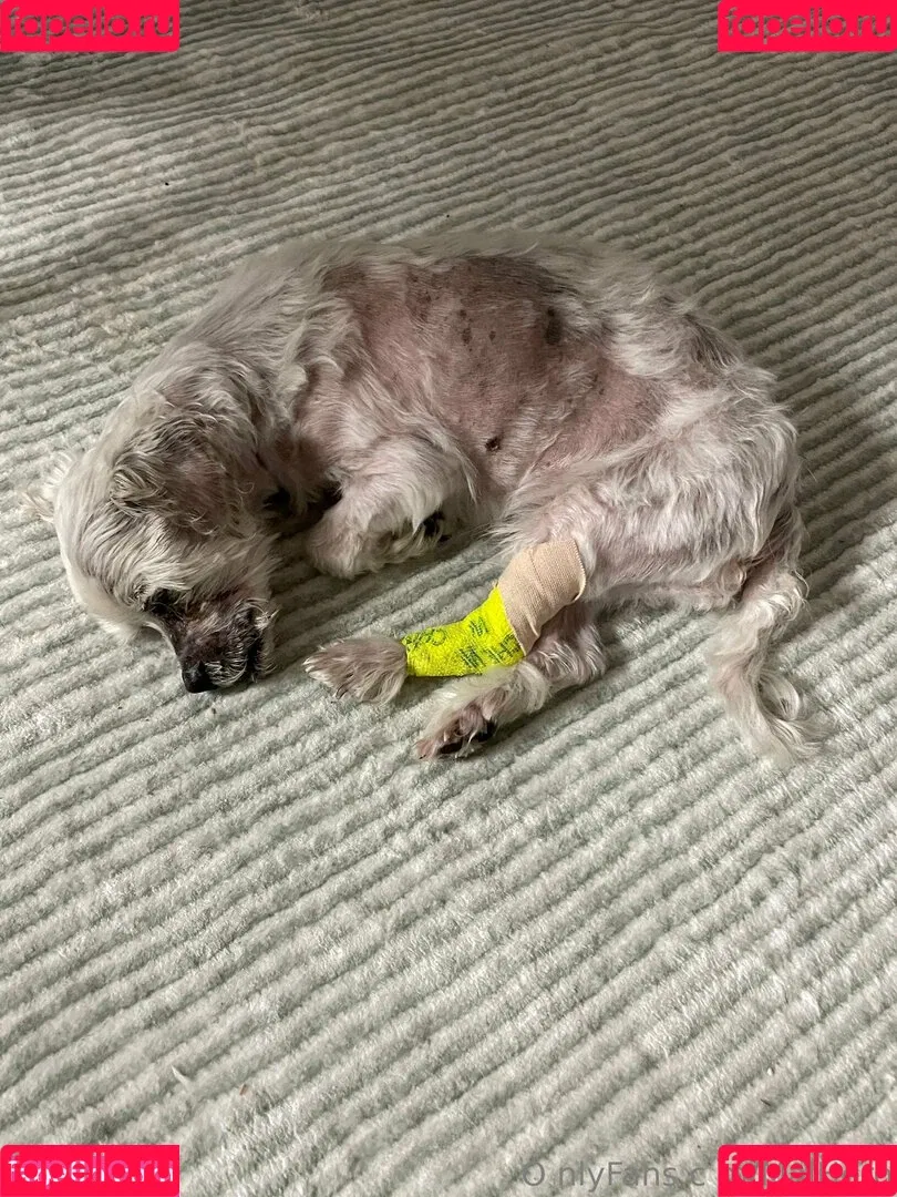 maihero / maihero76 Onlyfans Photo Gallery 