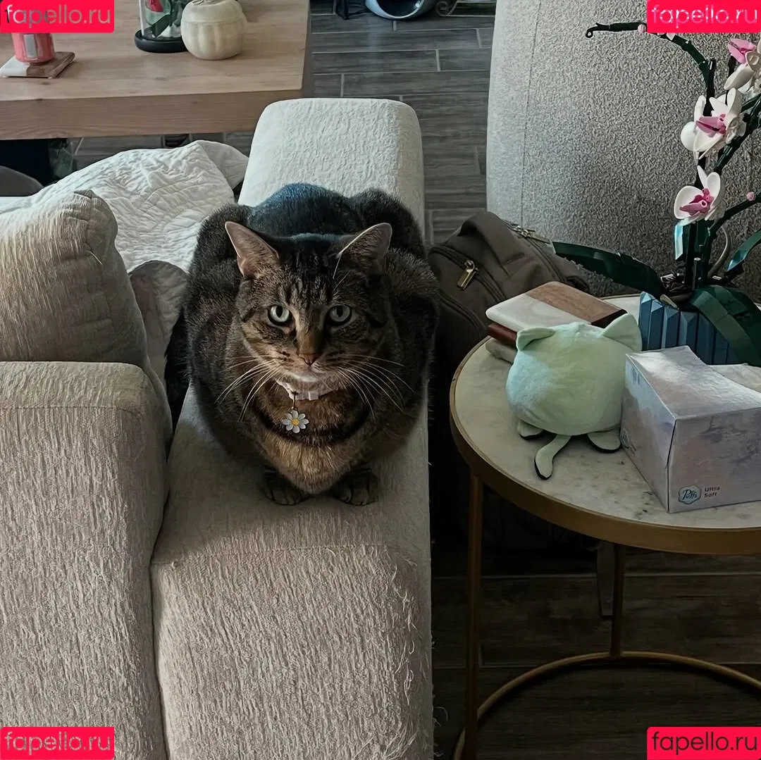 XOXO-Mercyy / https: / missmercyy / missmercyy_ Onlyfans Photo Gallery 