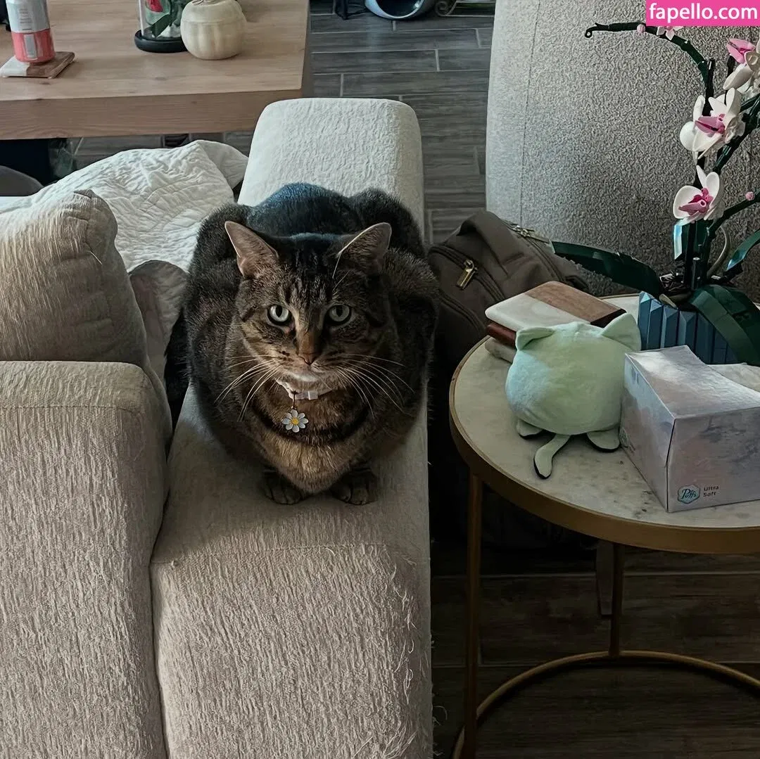 XOXO-Mercyy / https: / missmercyy / missmercyy_ Onlyfans Photo Gallery 