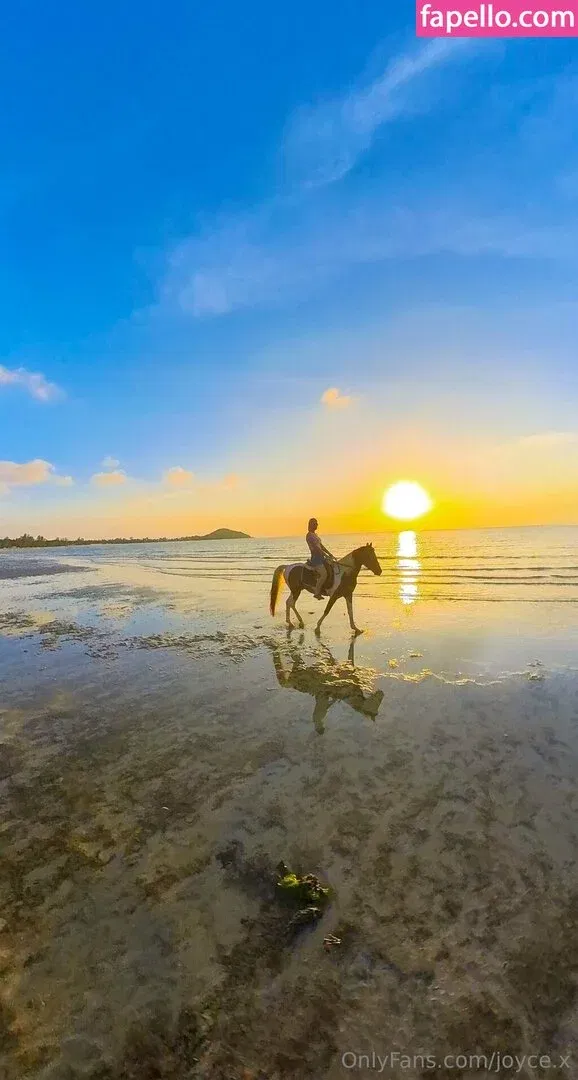 Joyce X / _Joyce_xxxx / imjoycexx / joyce.x Onlyfans Photo Gallery 