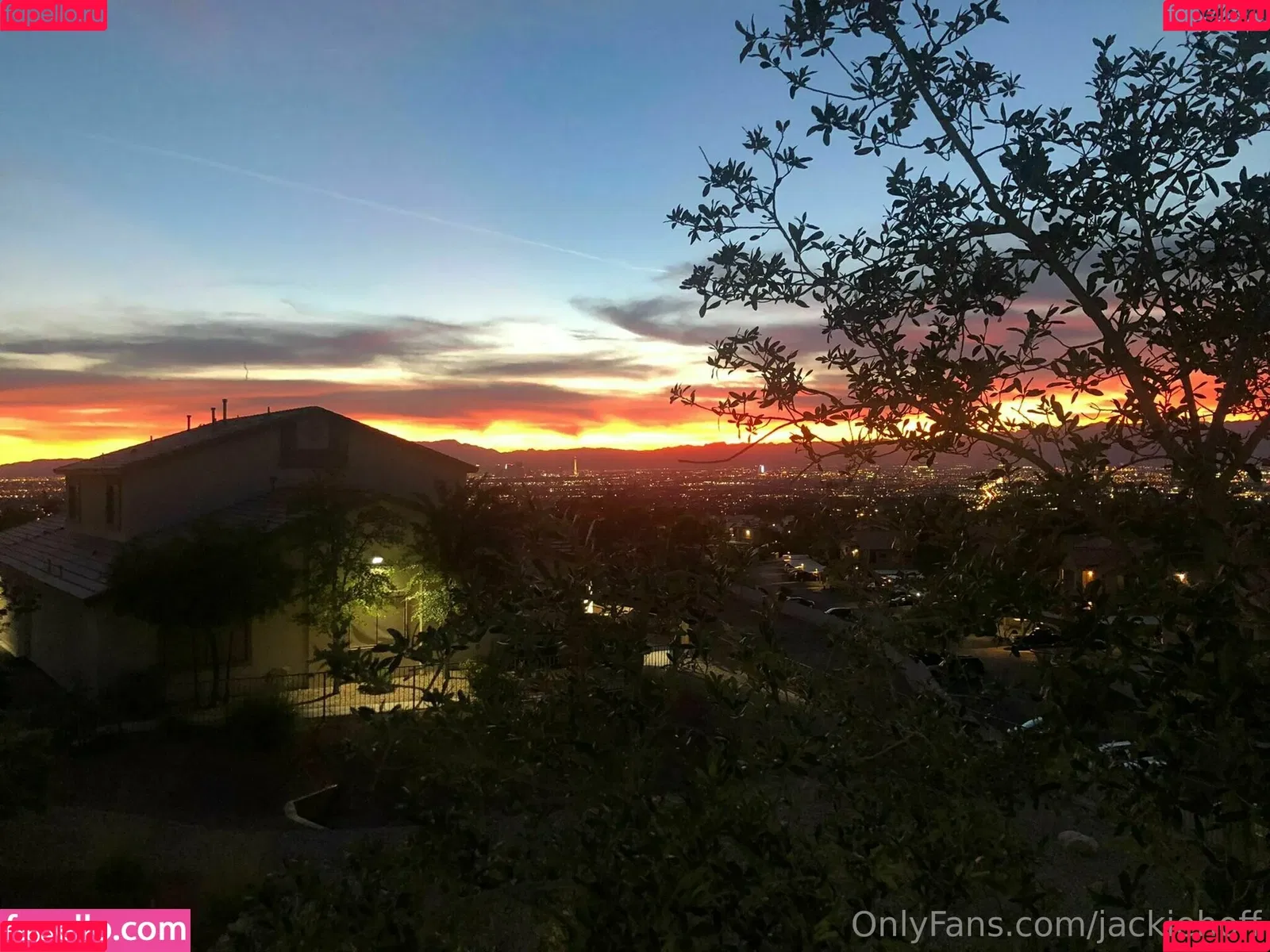 jackiehoff / jackiephoff Onlyfans Photo Gallery 