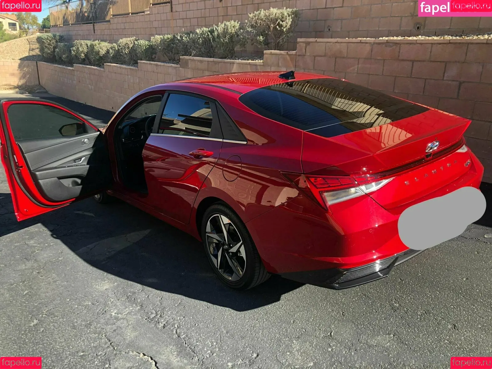 jackiehoff / jackiephoff Onlyfans Photo Gallery 